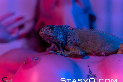 StasyQ_461_image_5e346735ffbccb7f9.md