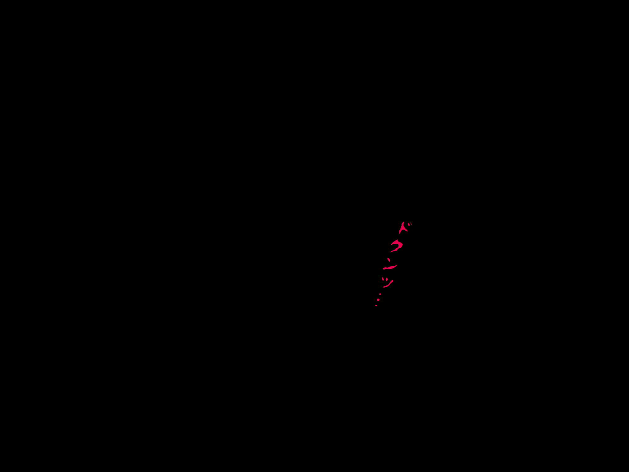 005