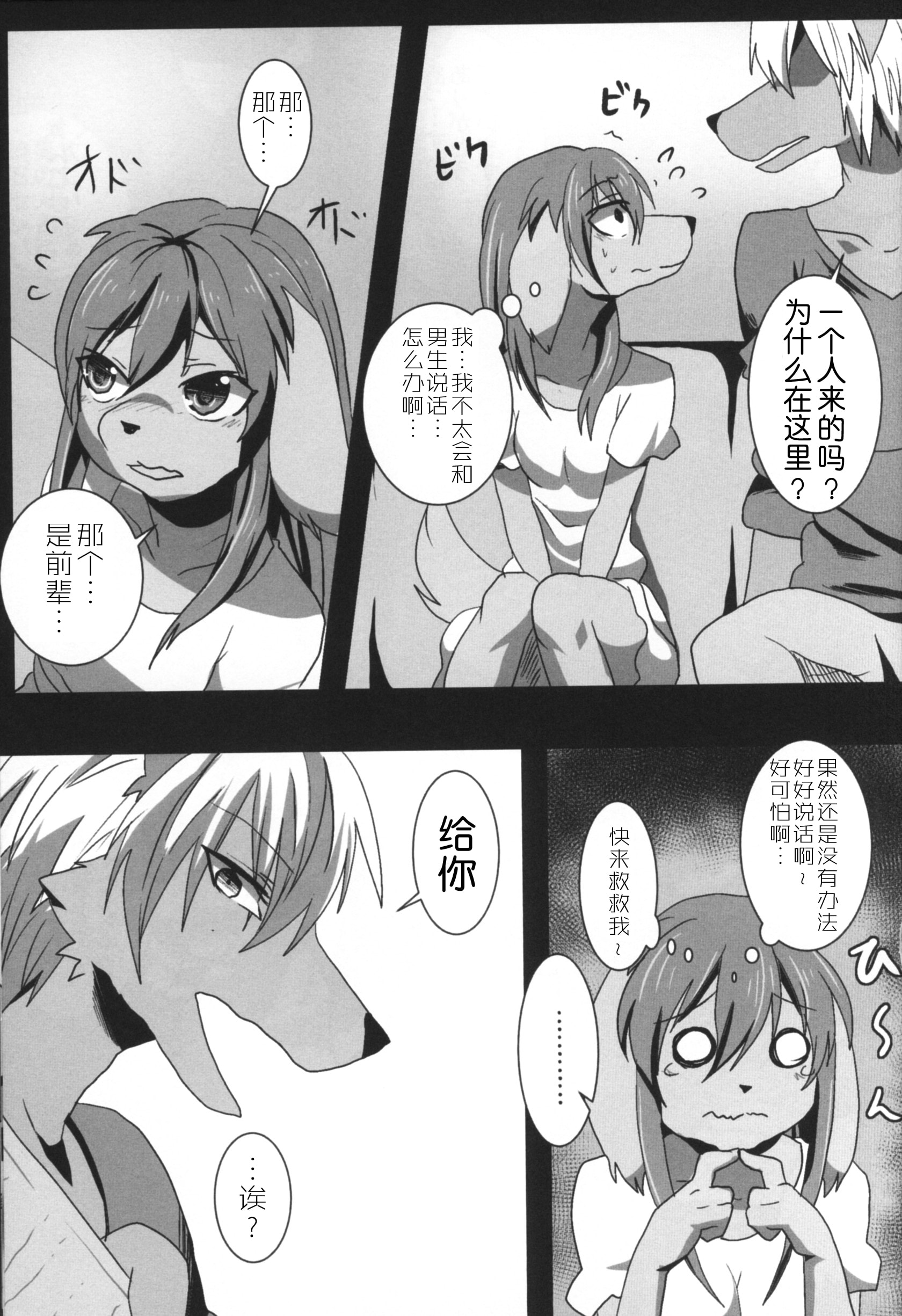 06