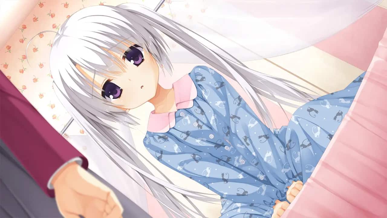 Sanoba_0085