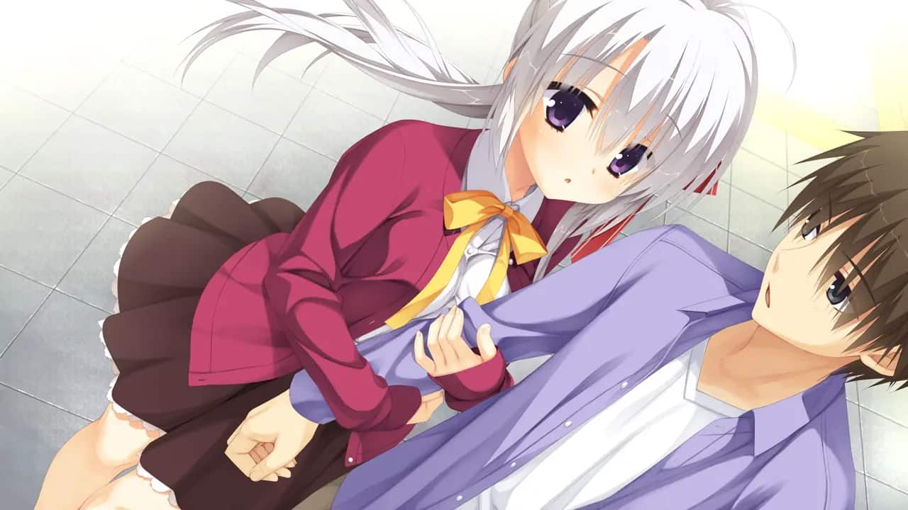 Sanoba_0104