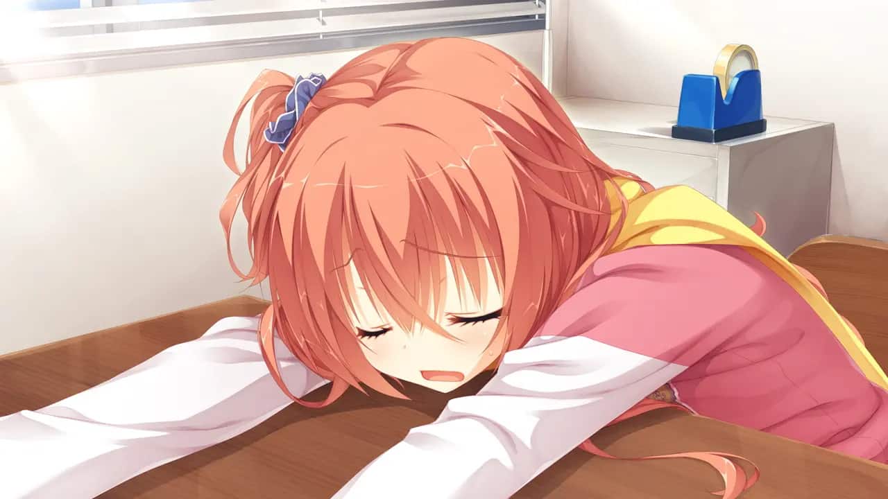 Sanoba_0428