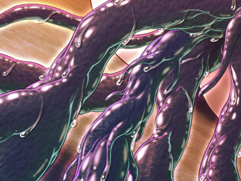 CG066