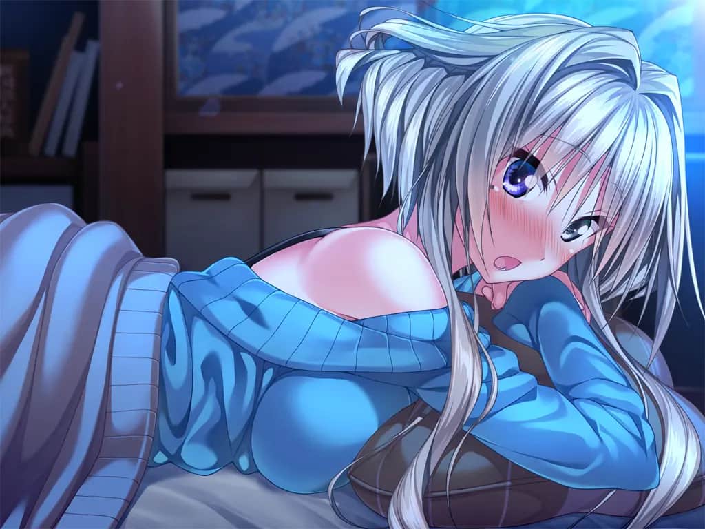 0787_ev_miz06ak