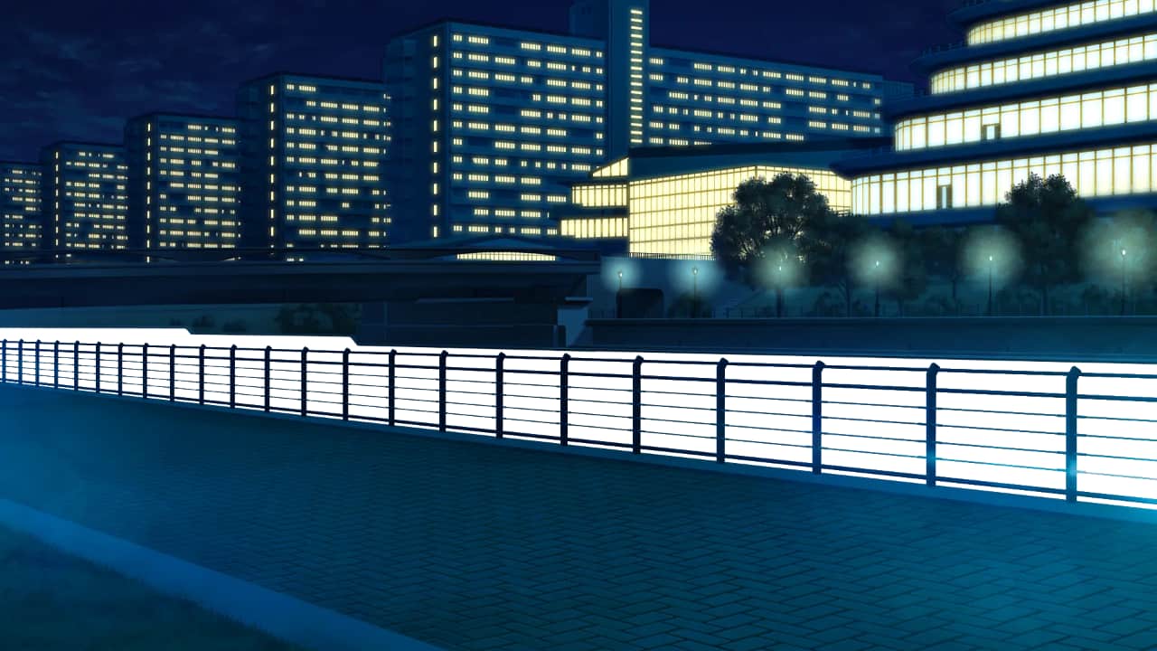 0449_st2_a_yoru