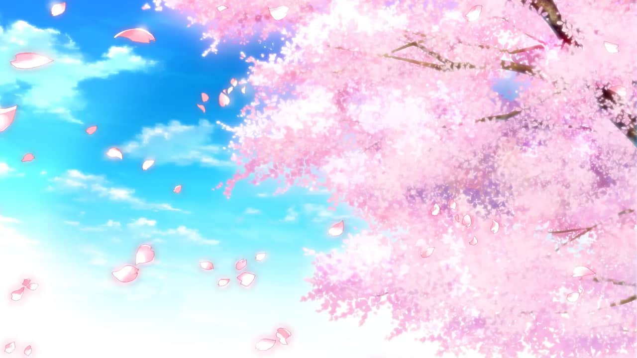 080_sakura_hiru