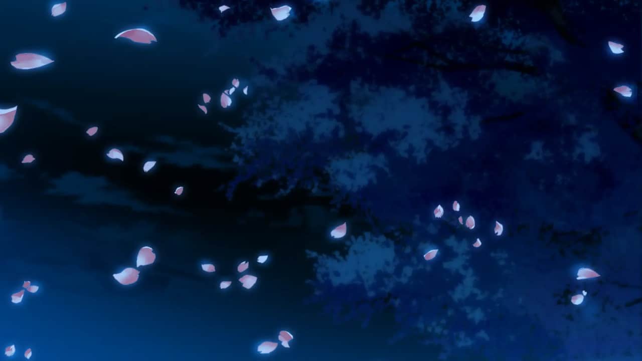 081_sakura_yoru