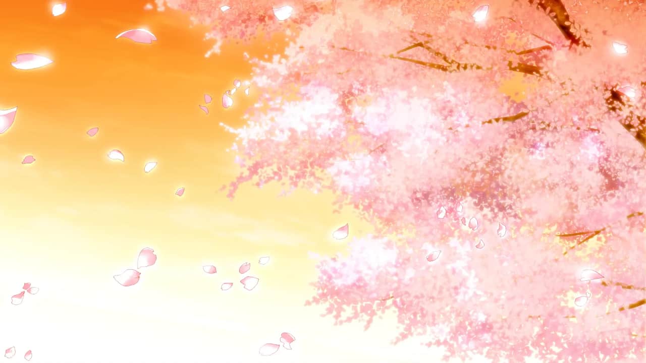 082_sakura_yuu