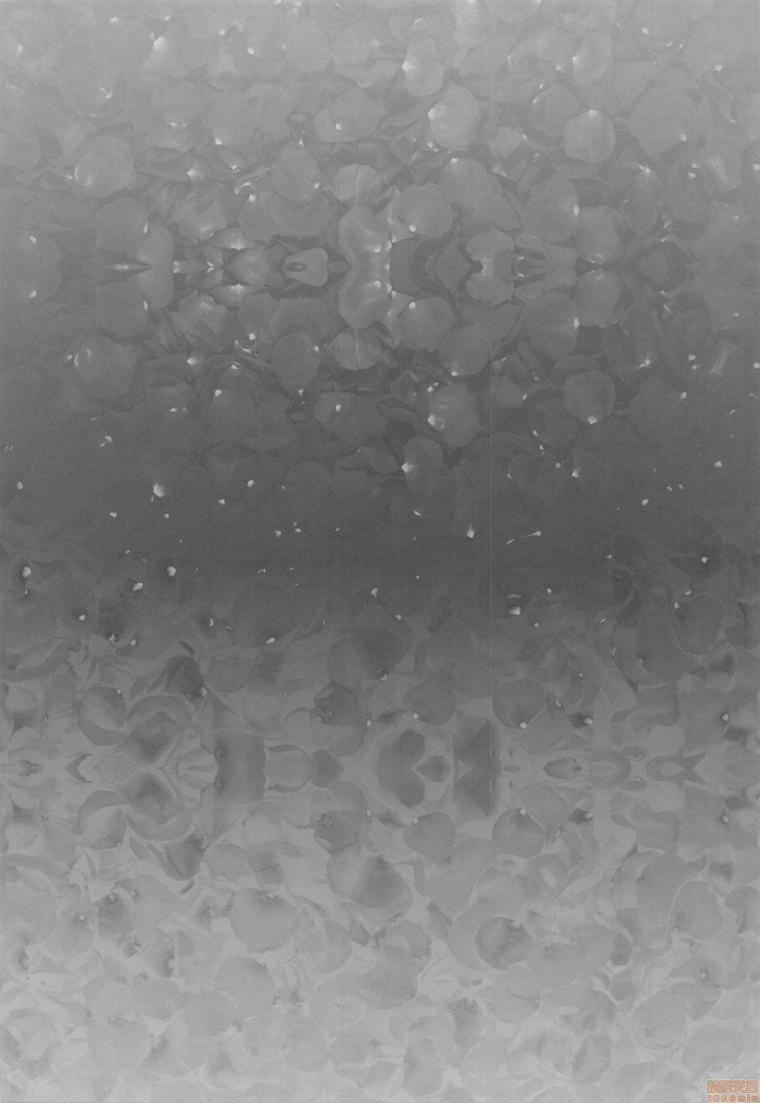 00002