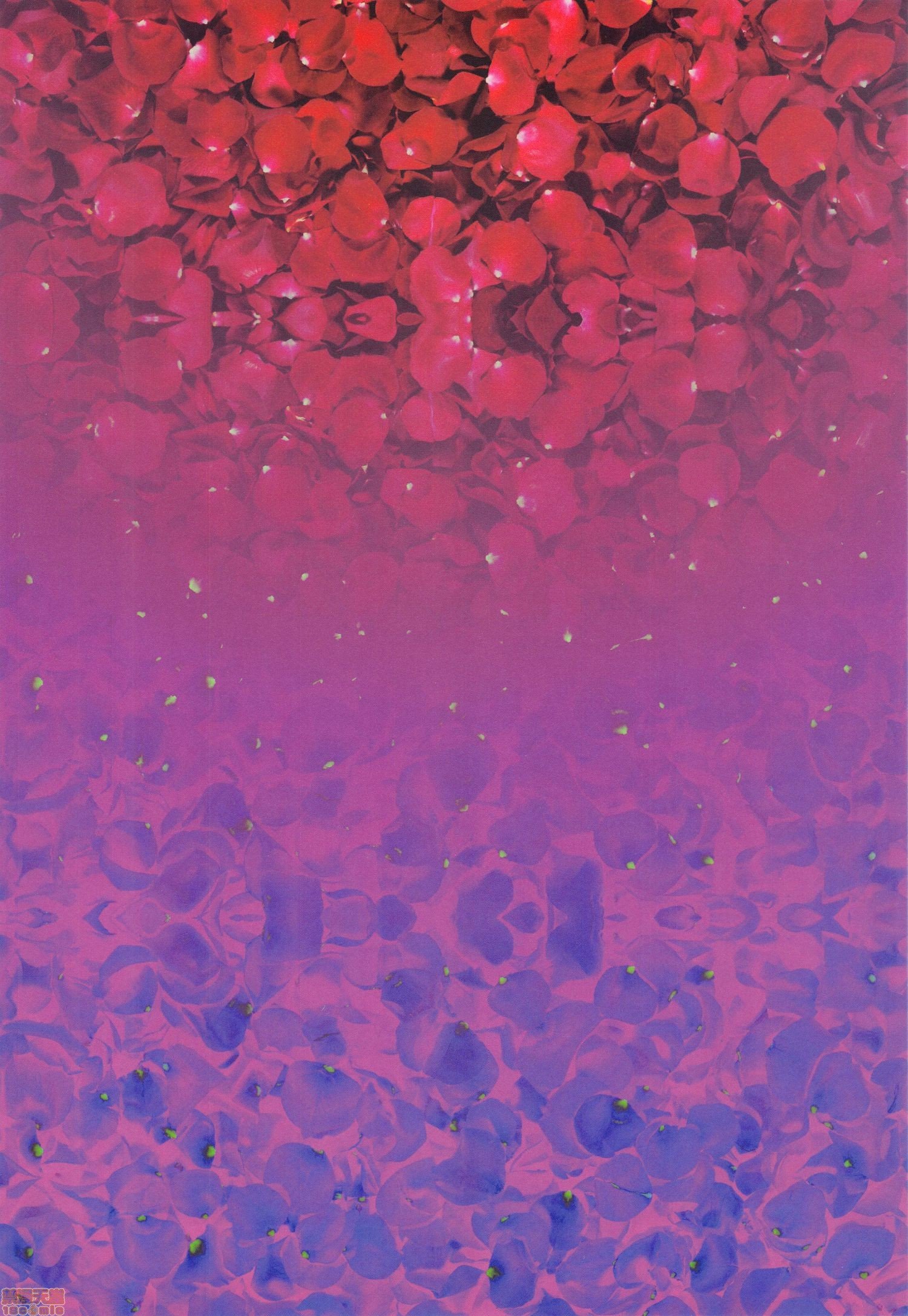 00003