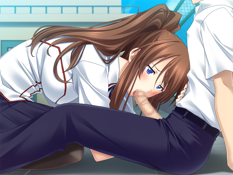 CG336