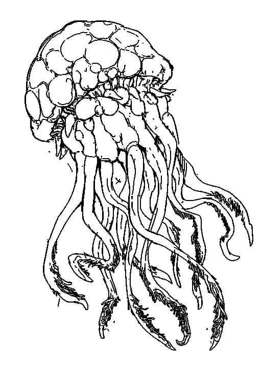 033