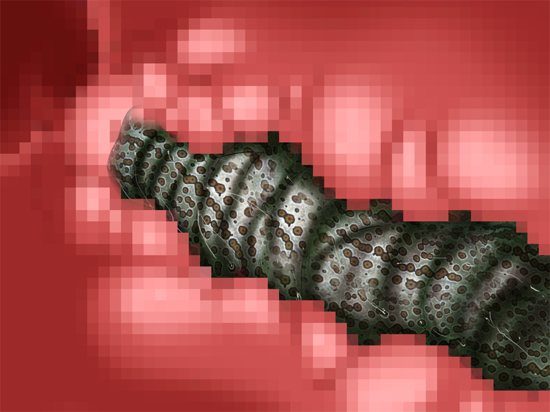 ev04001c01