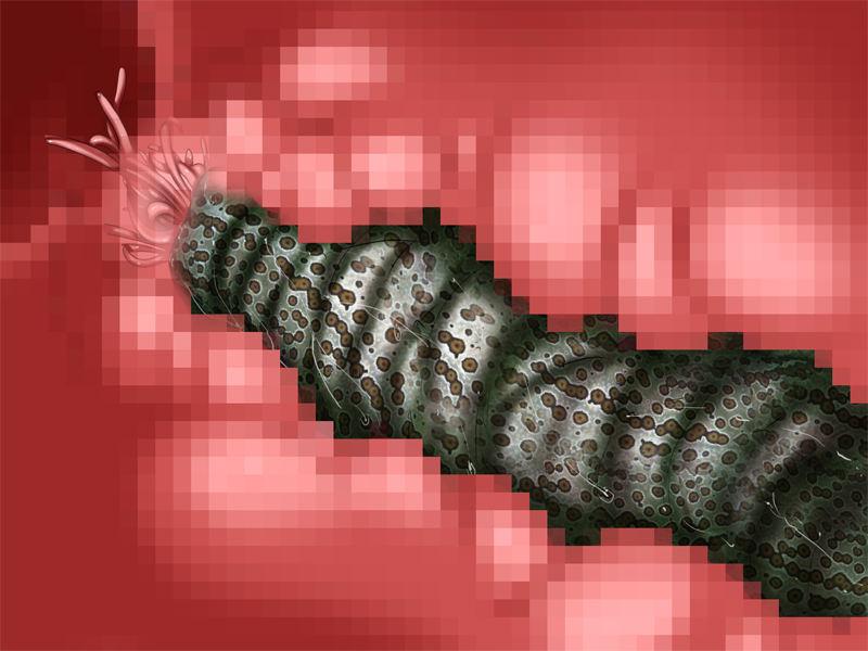 ev04001c02
