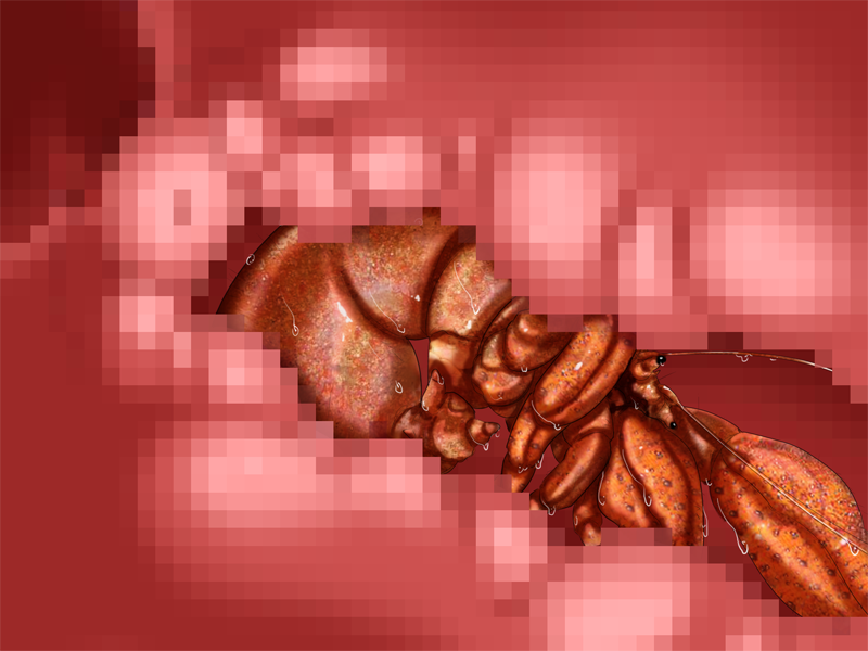 ev04001d01