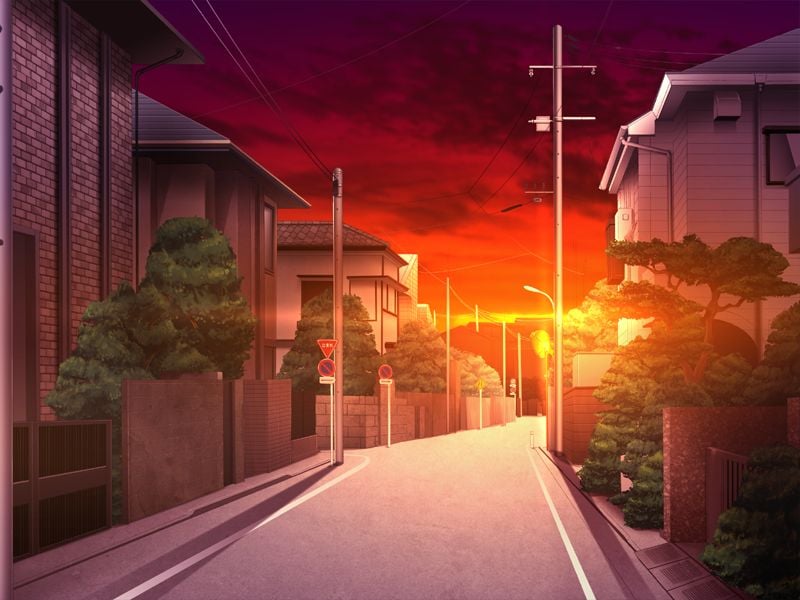 100_cmnbg0051