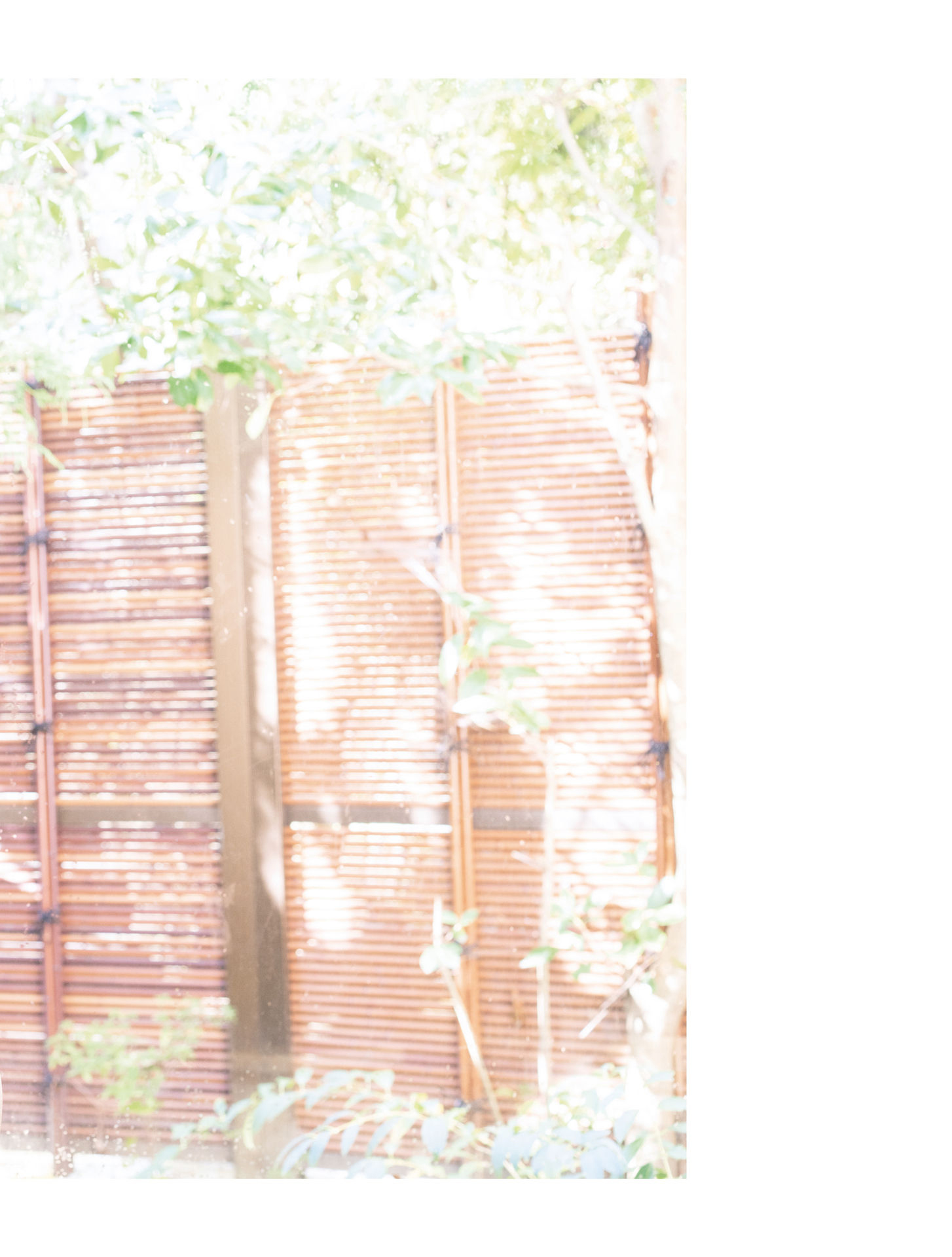 Bambi Watanabe_Allasiangirls.net (65)