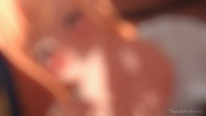 03