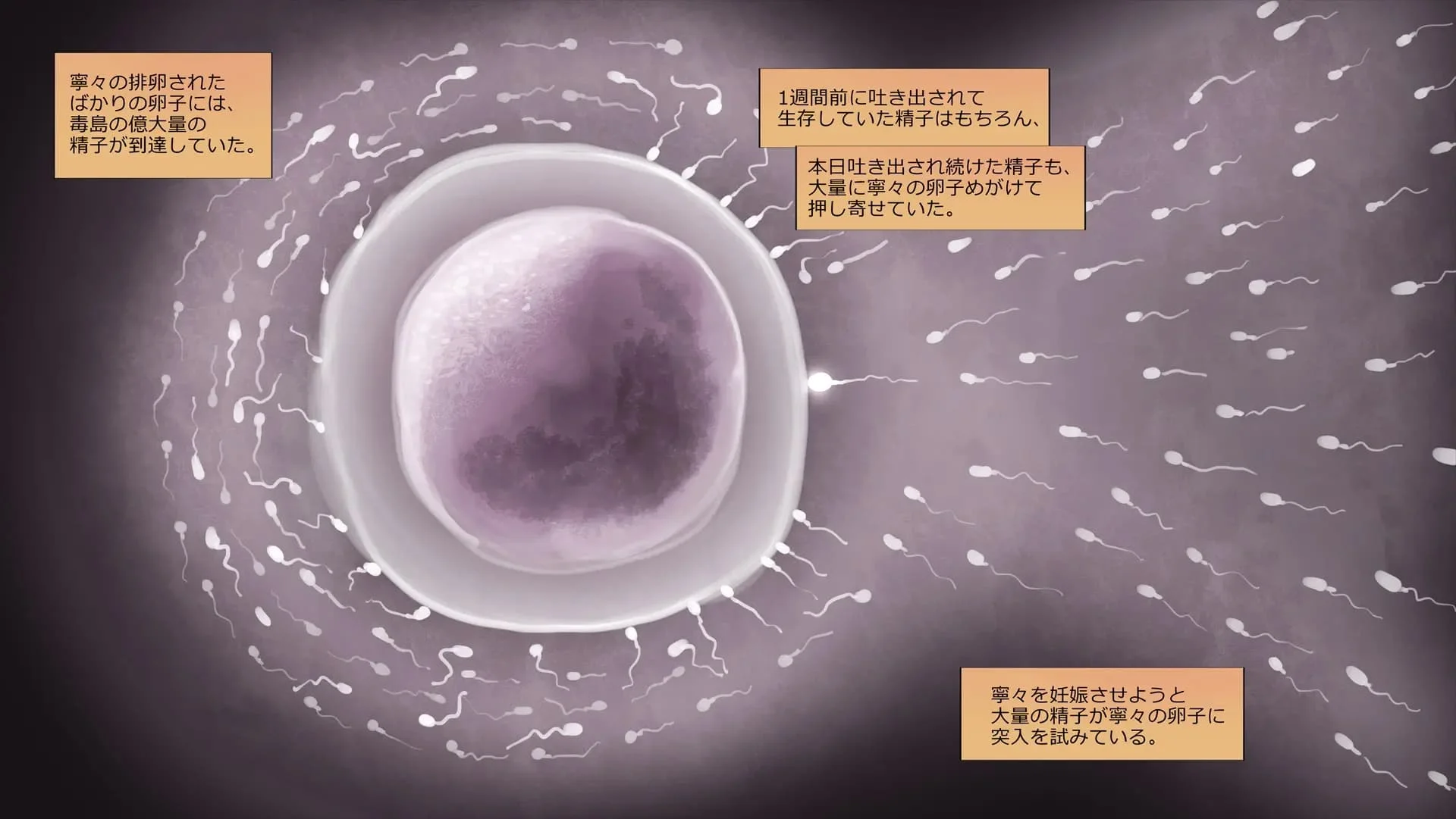 ch5-0420