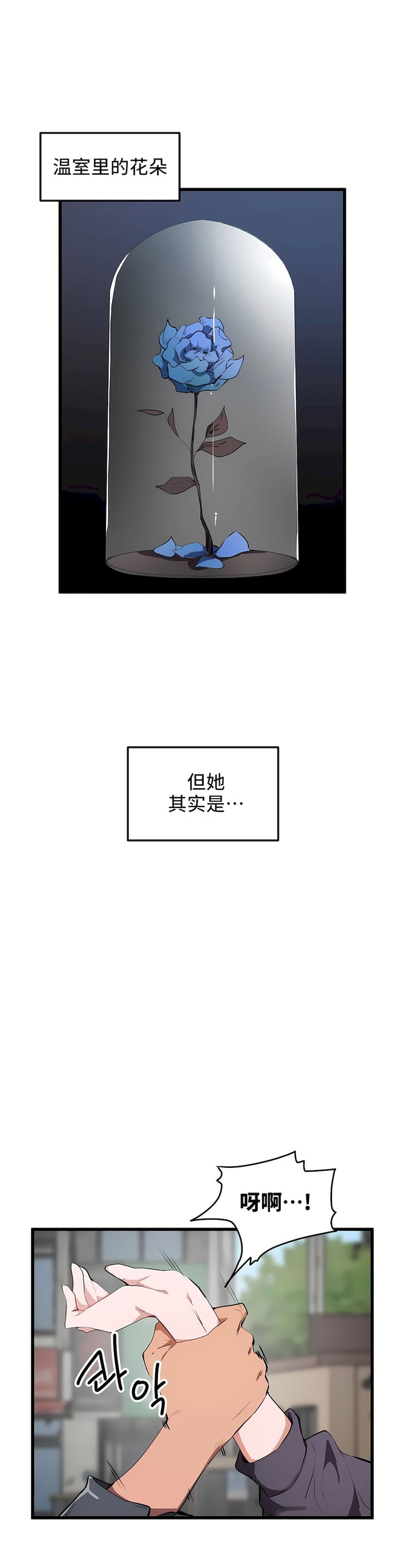20_02