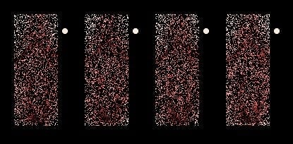 041