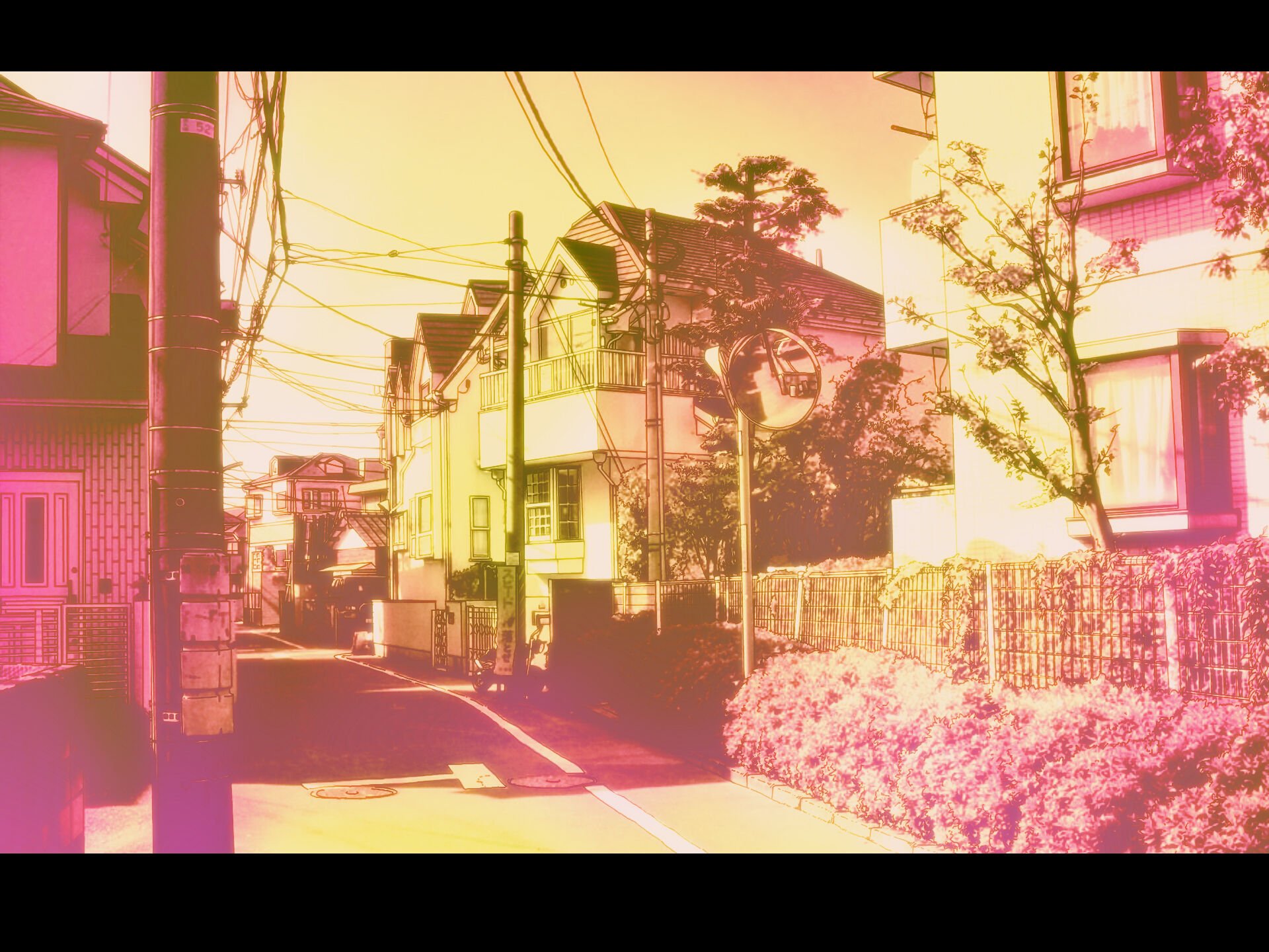 041