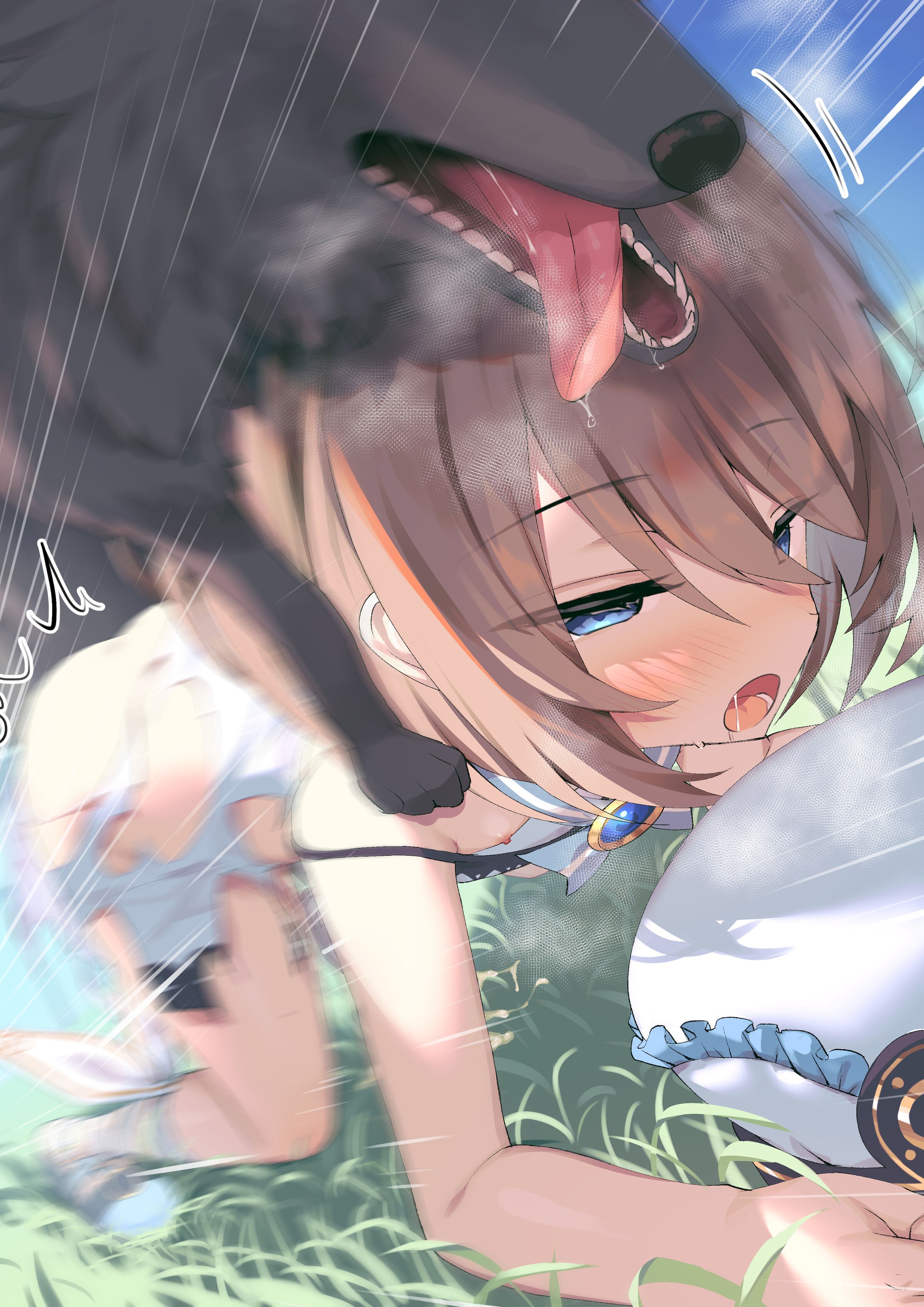 223