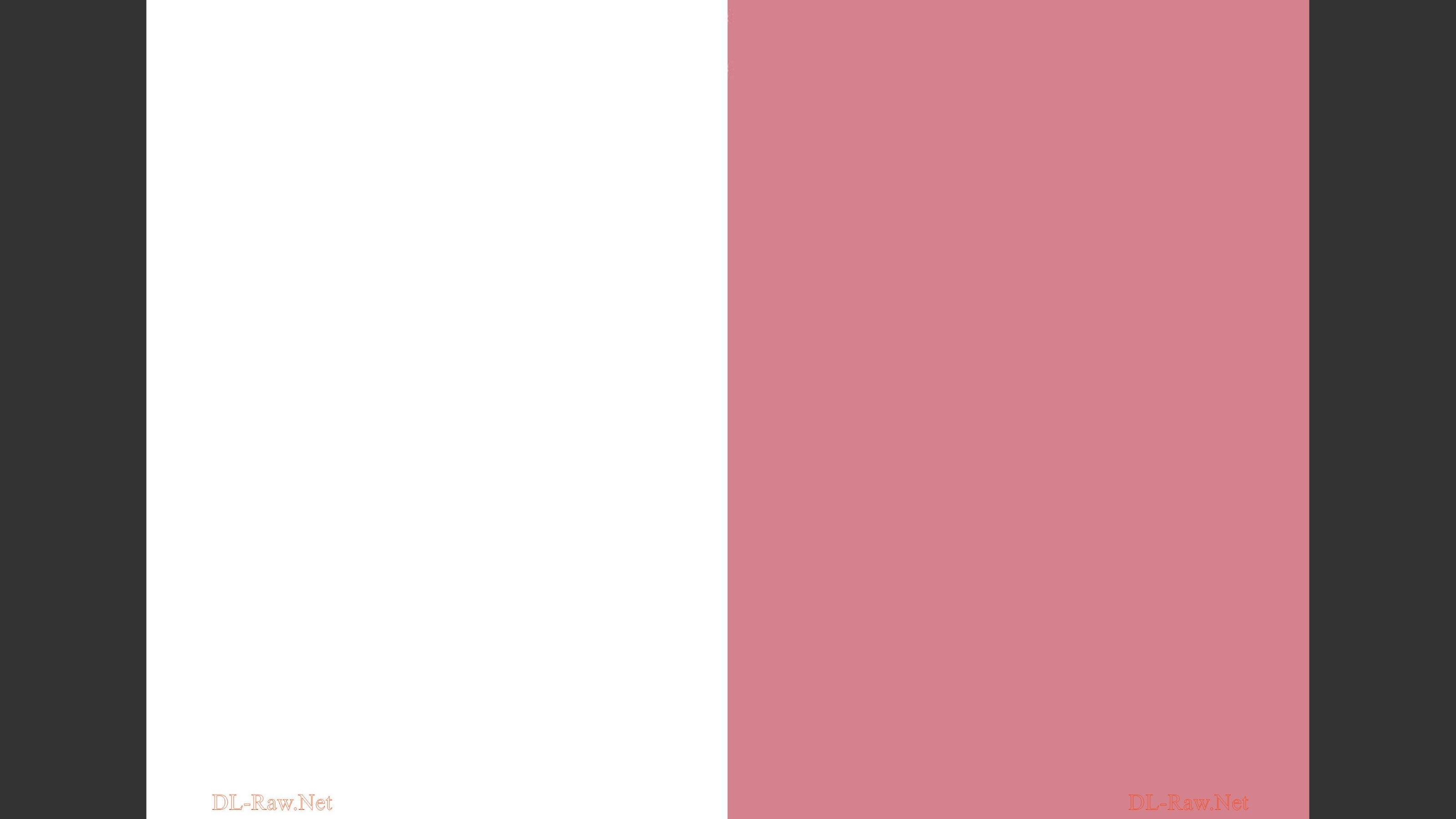 Net_0096