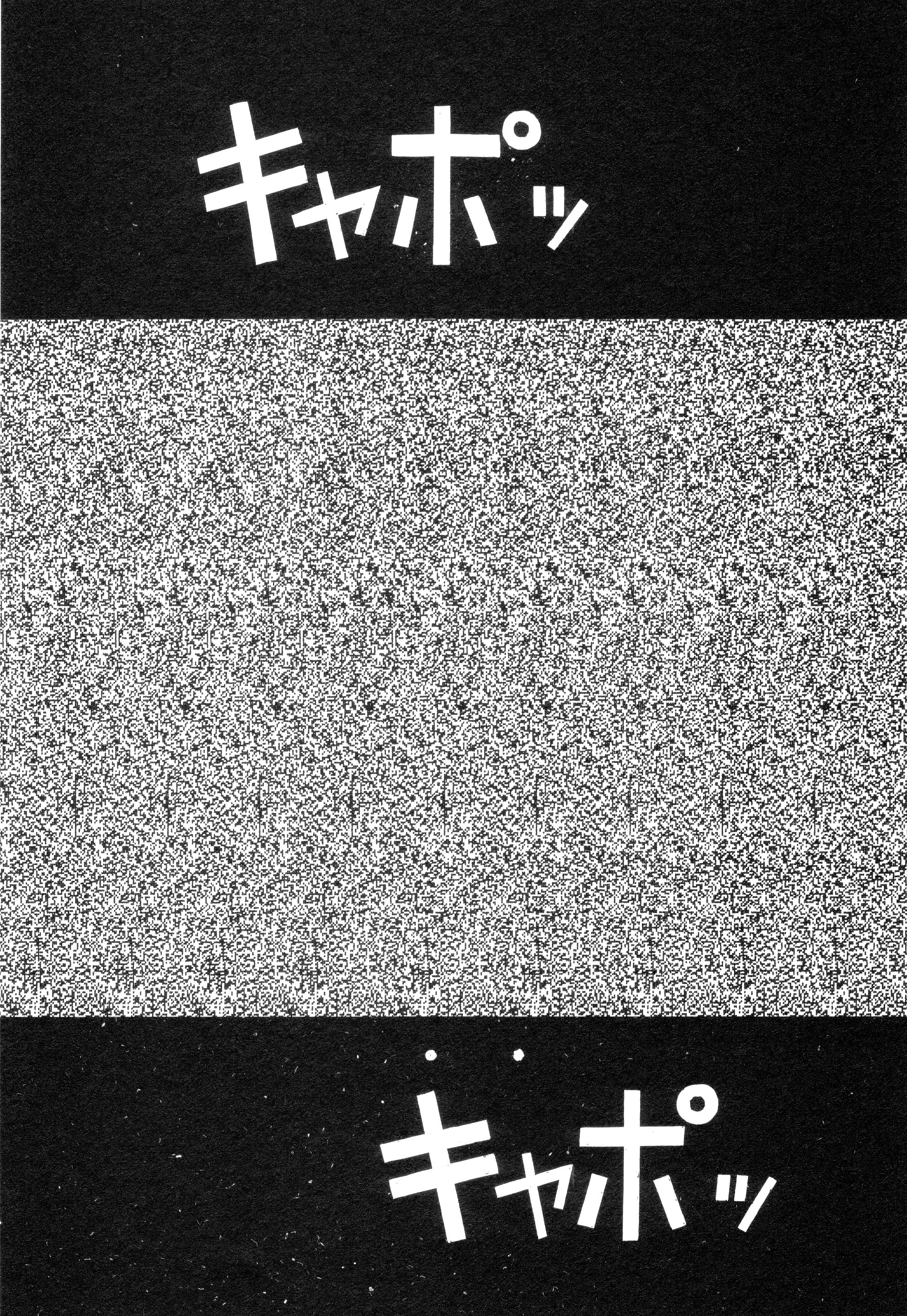 Cus10045