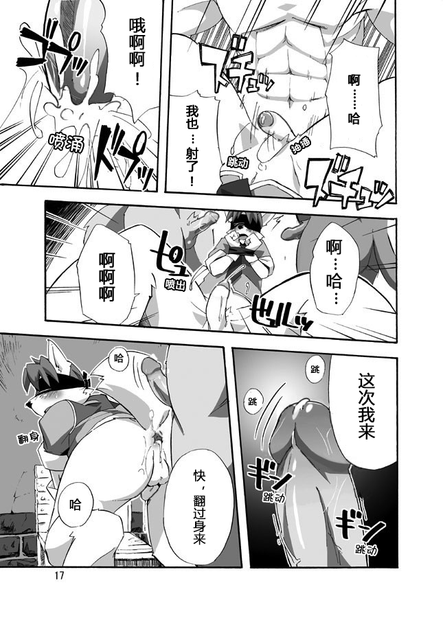 17