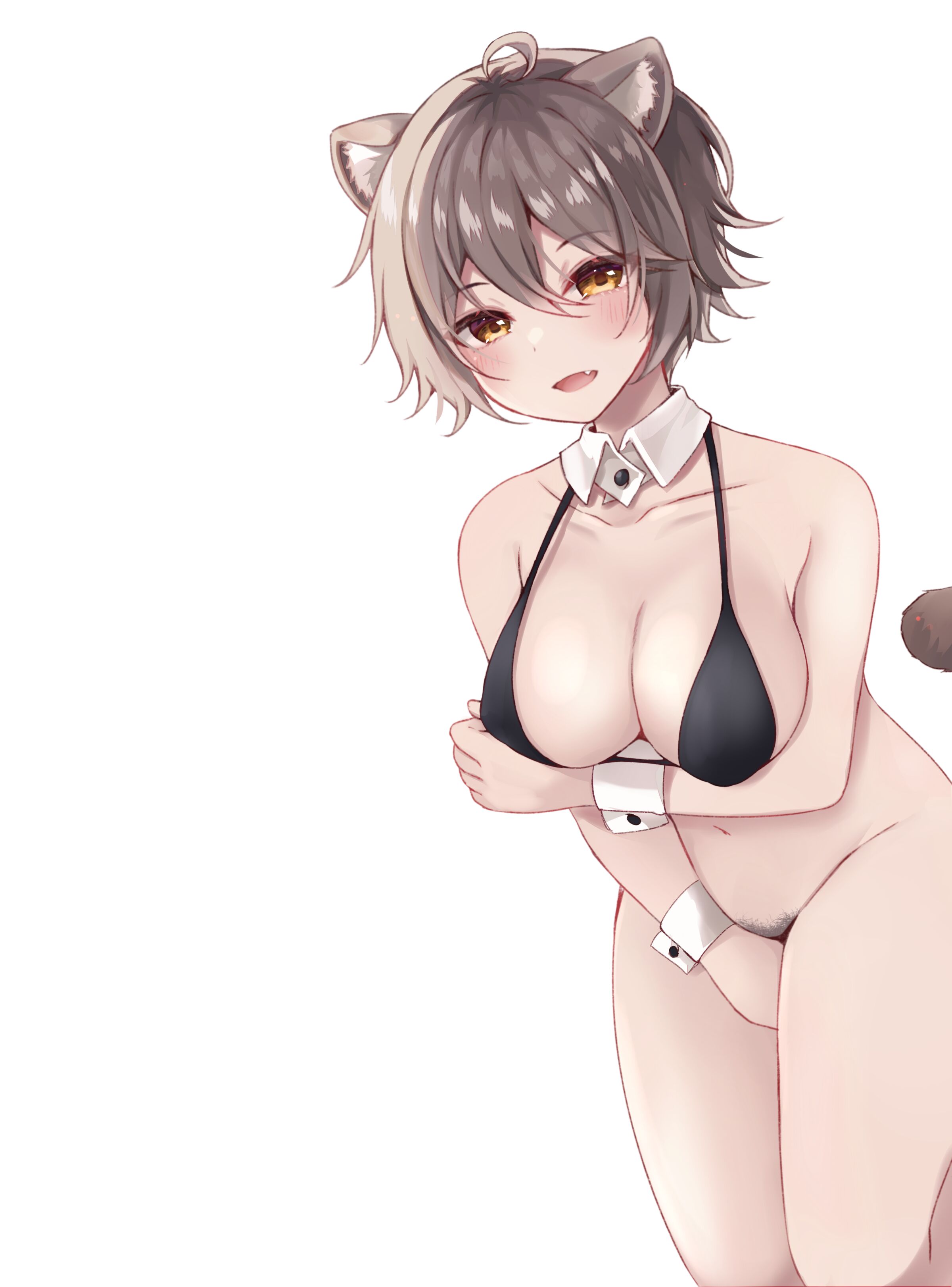 41
