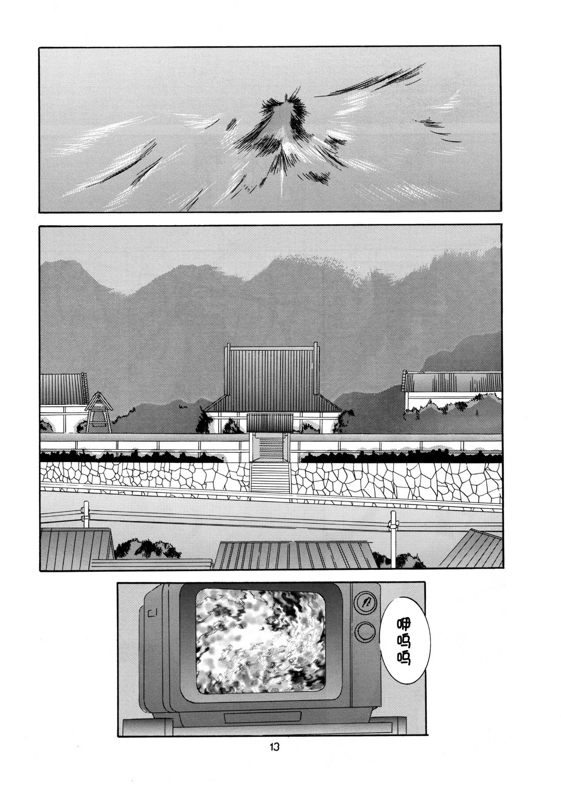 13