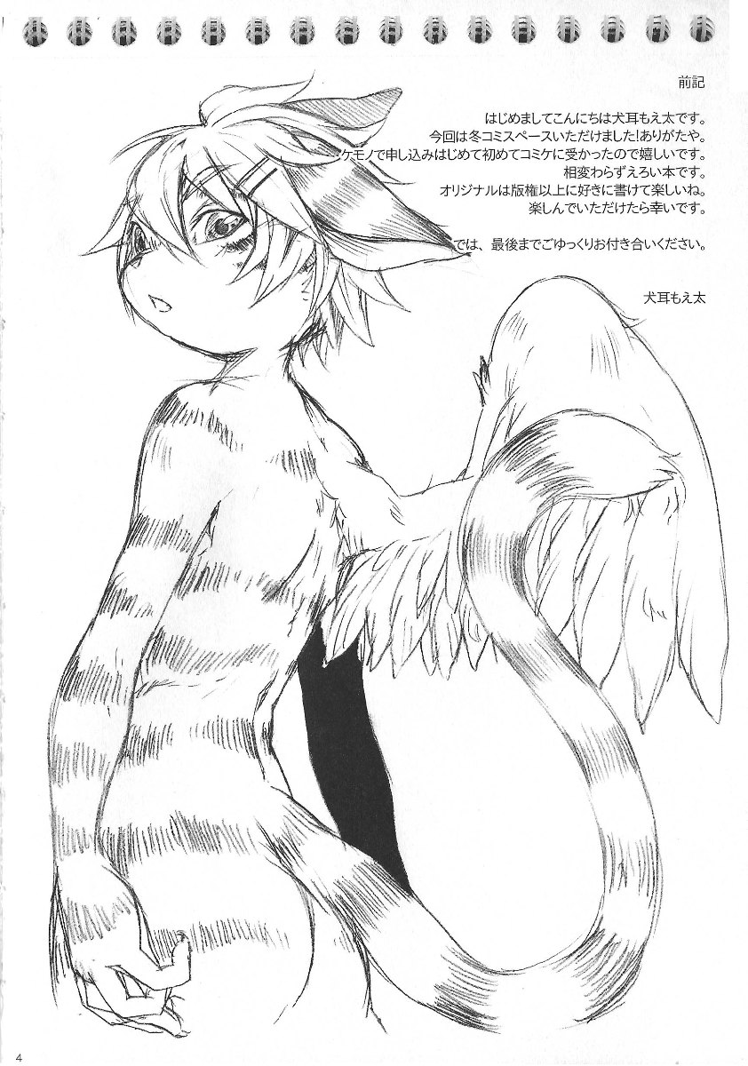 03