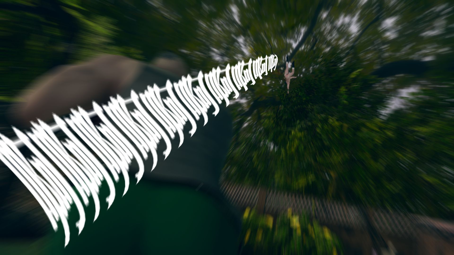 0060