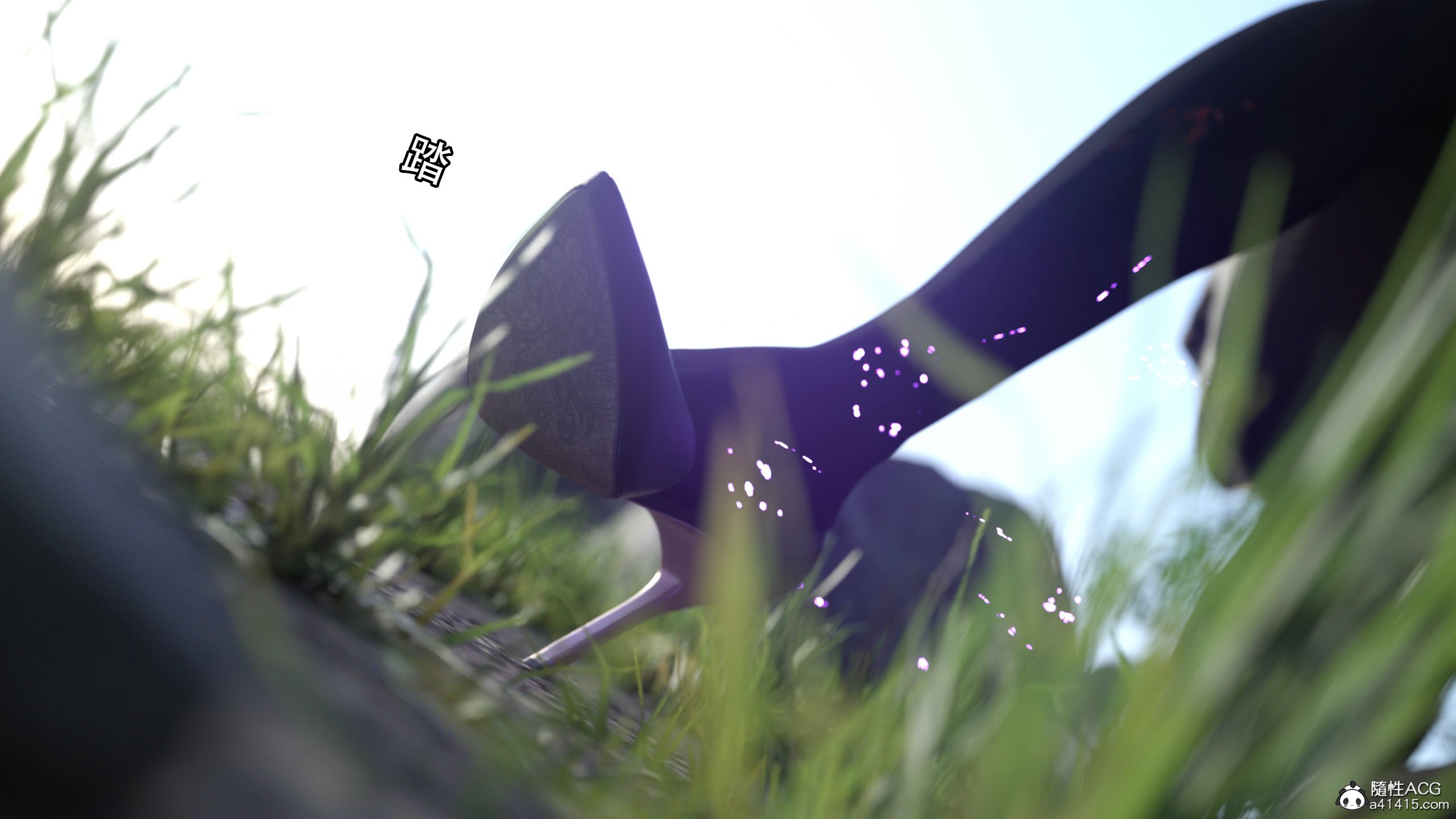 003