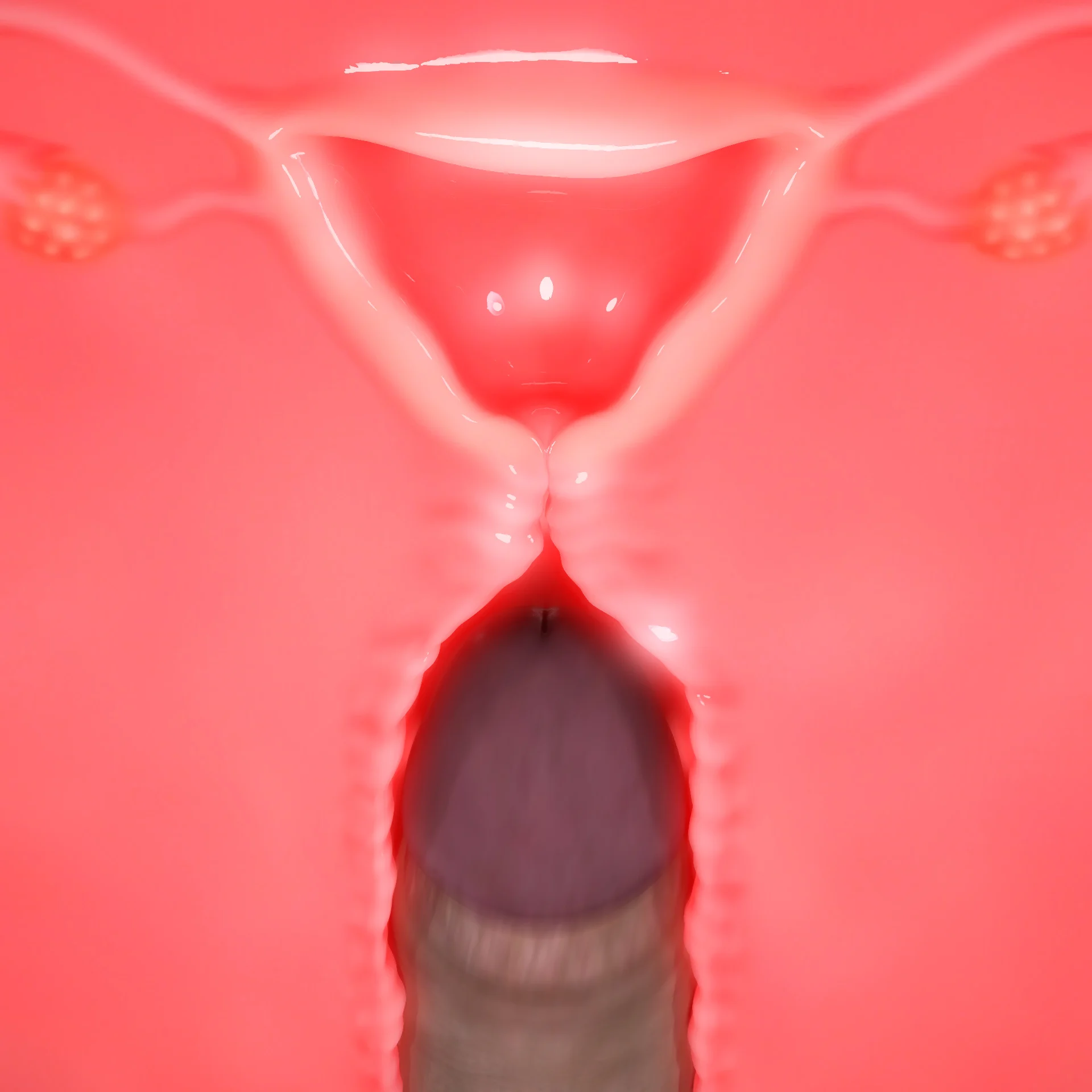 611_0.3.1