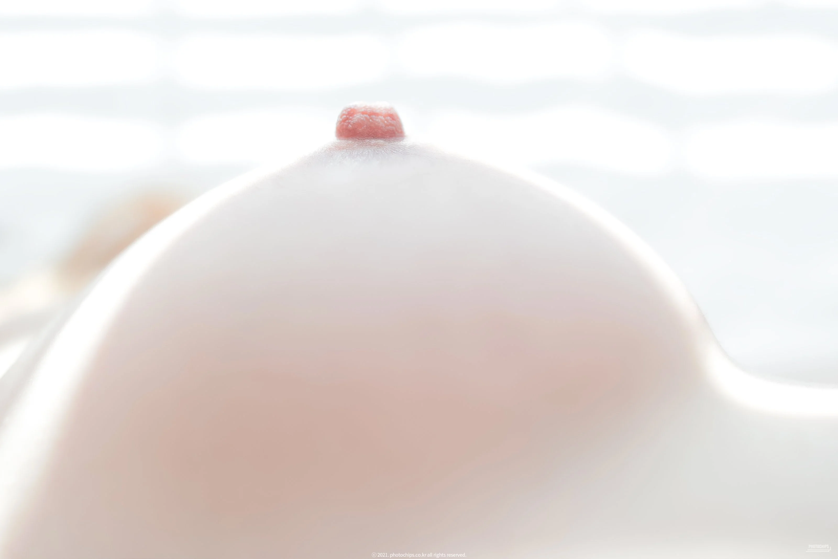 PhotoChips-Vol.109-No.13-Dami-Uncensored-MrCong.com-012