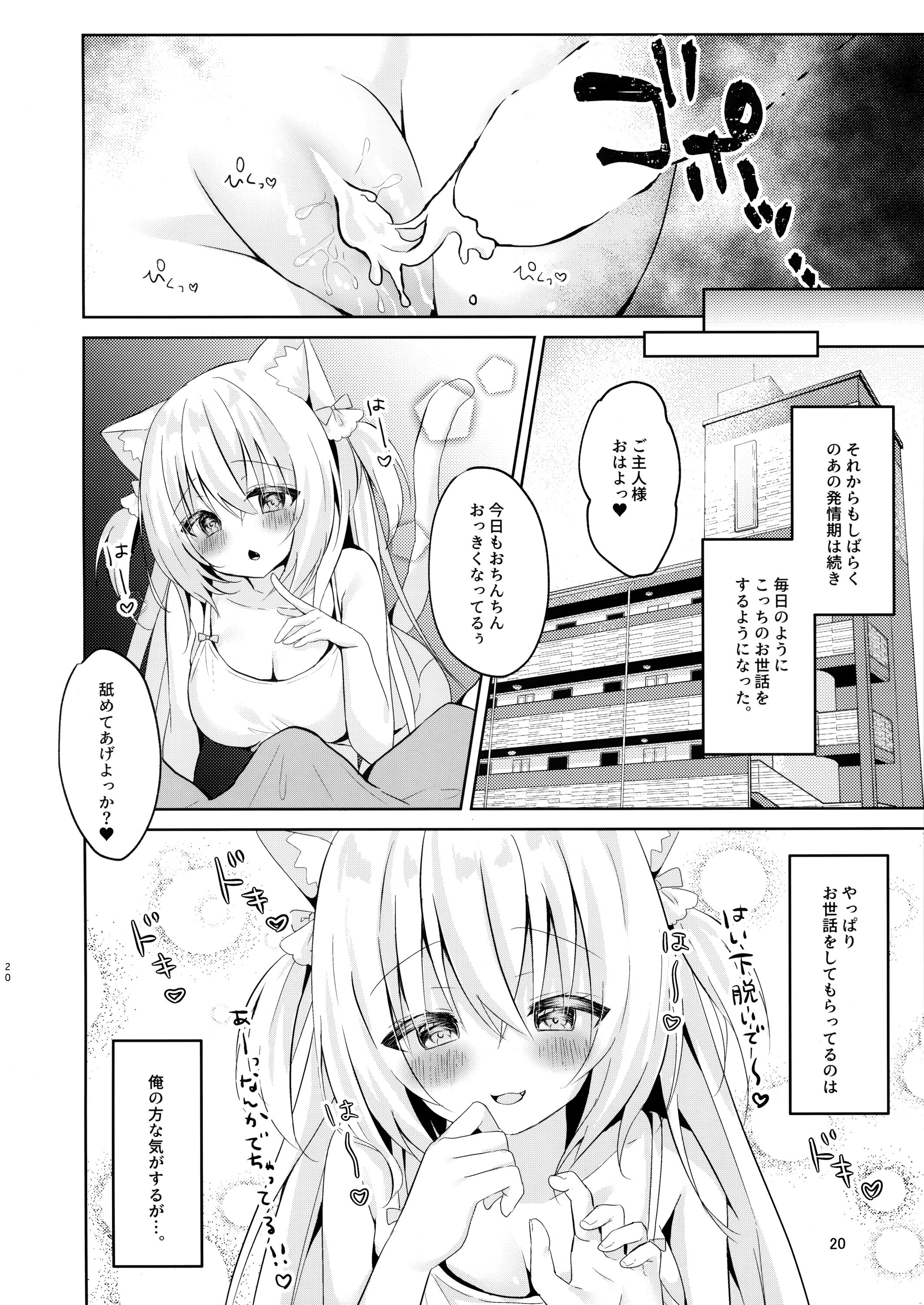 19