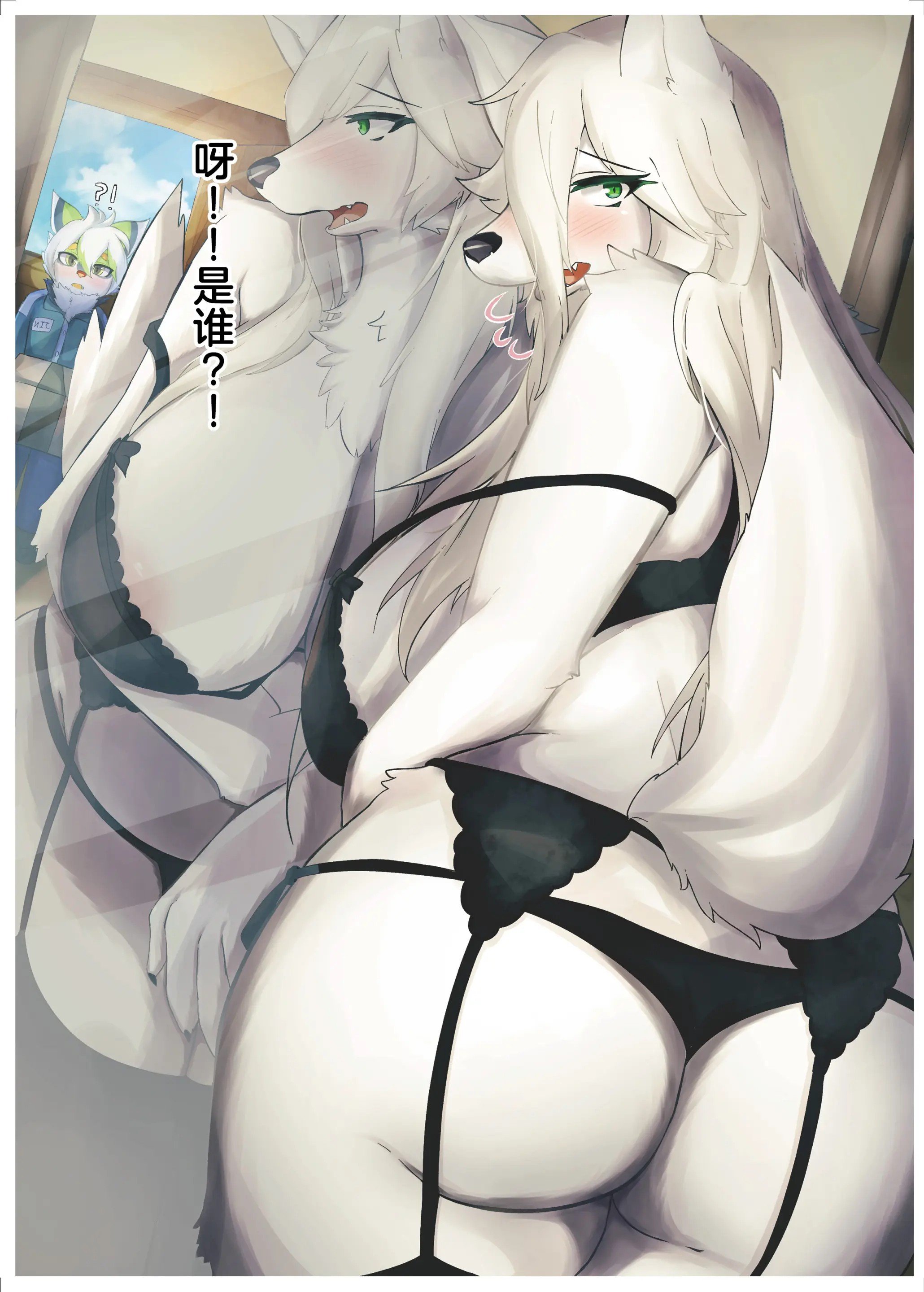 36__36