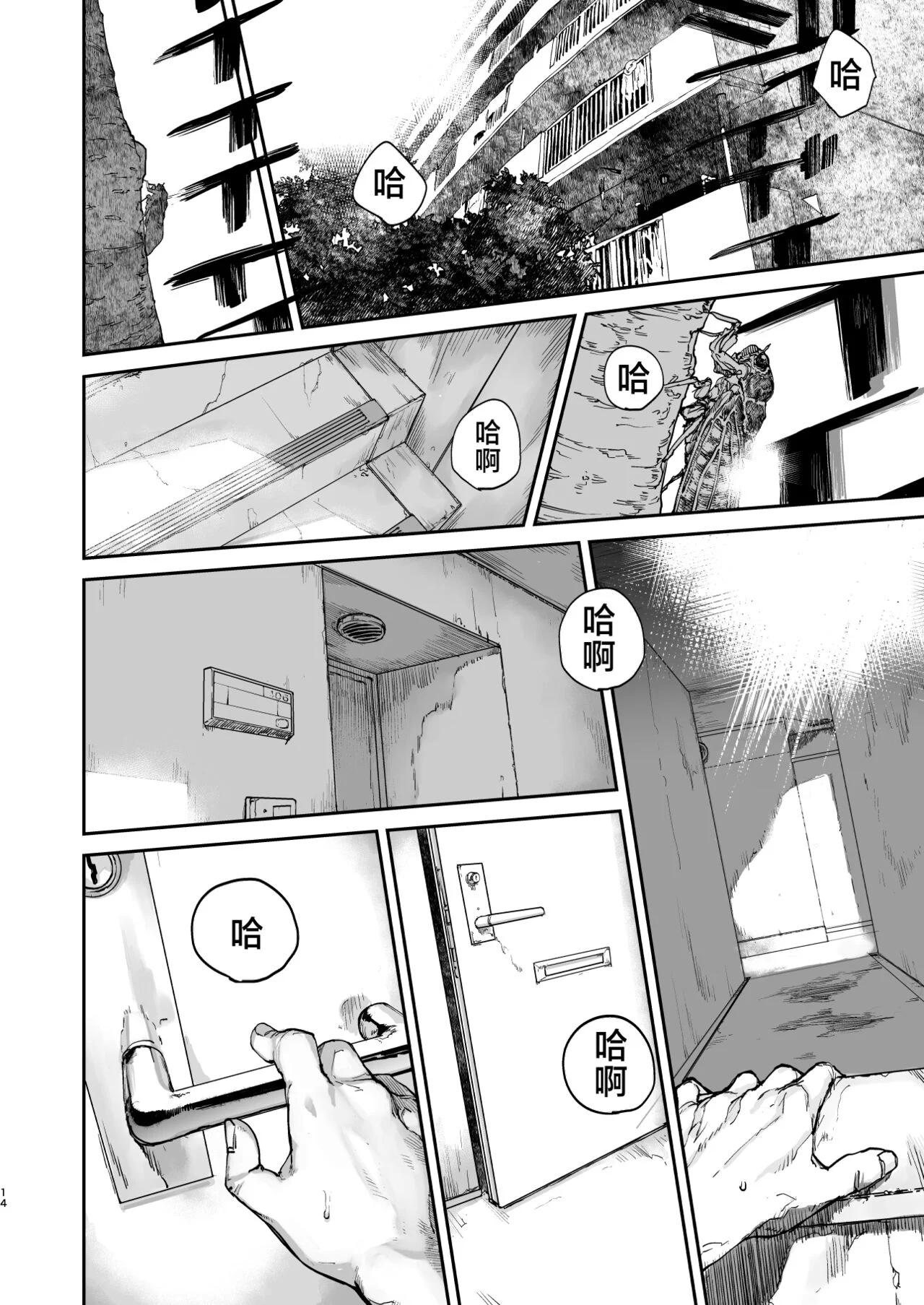 13