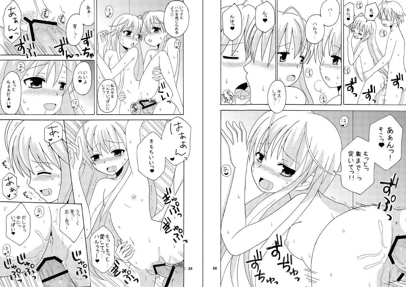 13_Snap13
