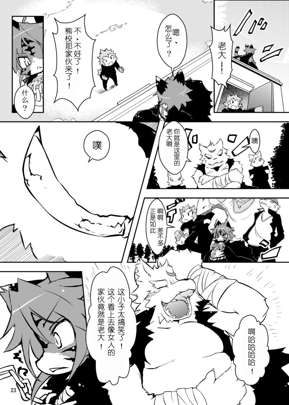 23