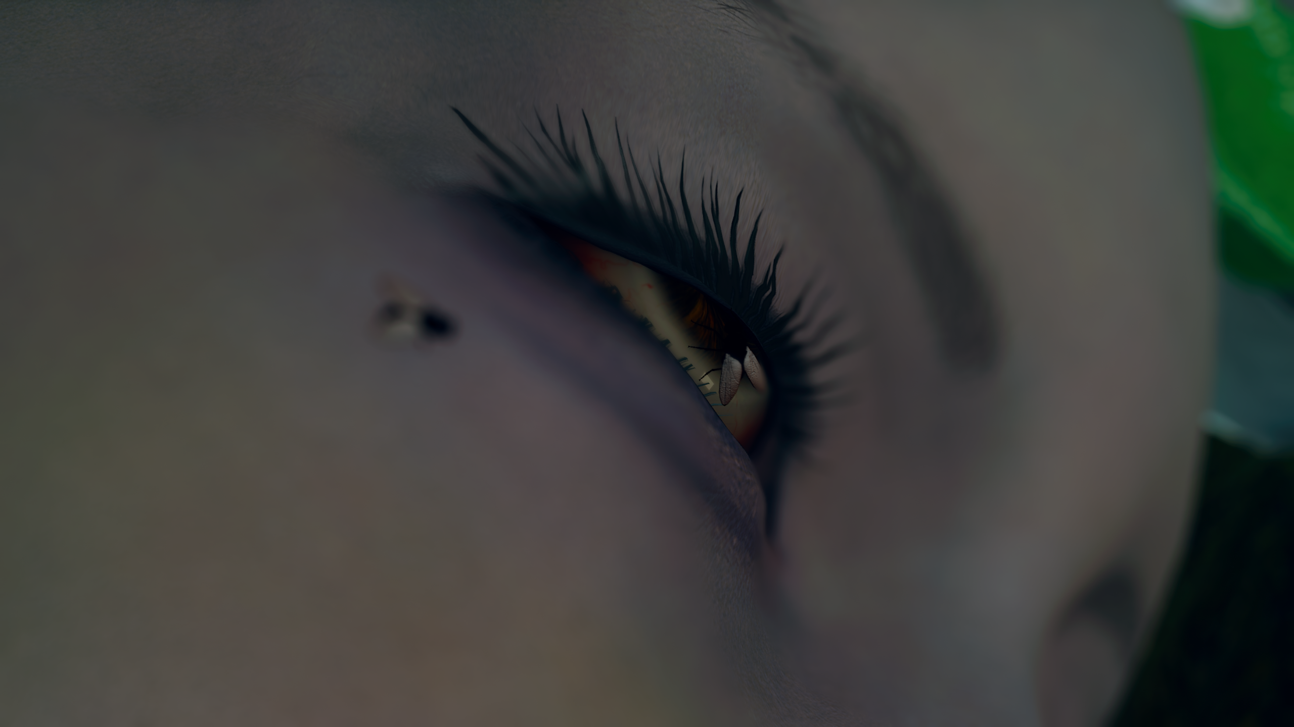 081_1.5_1