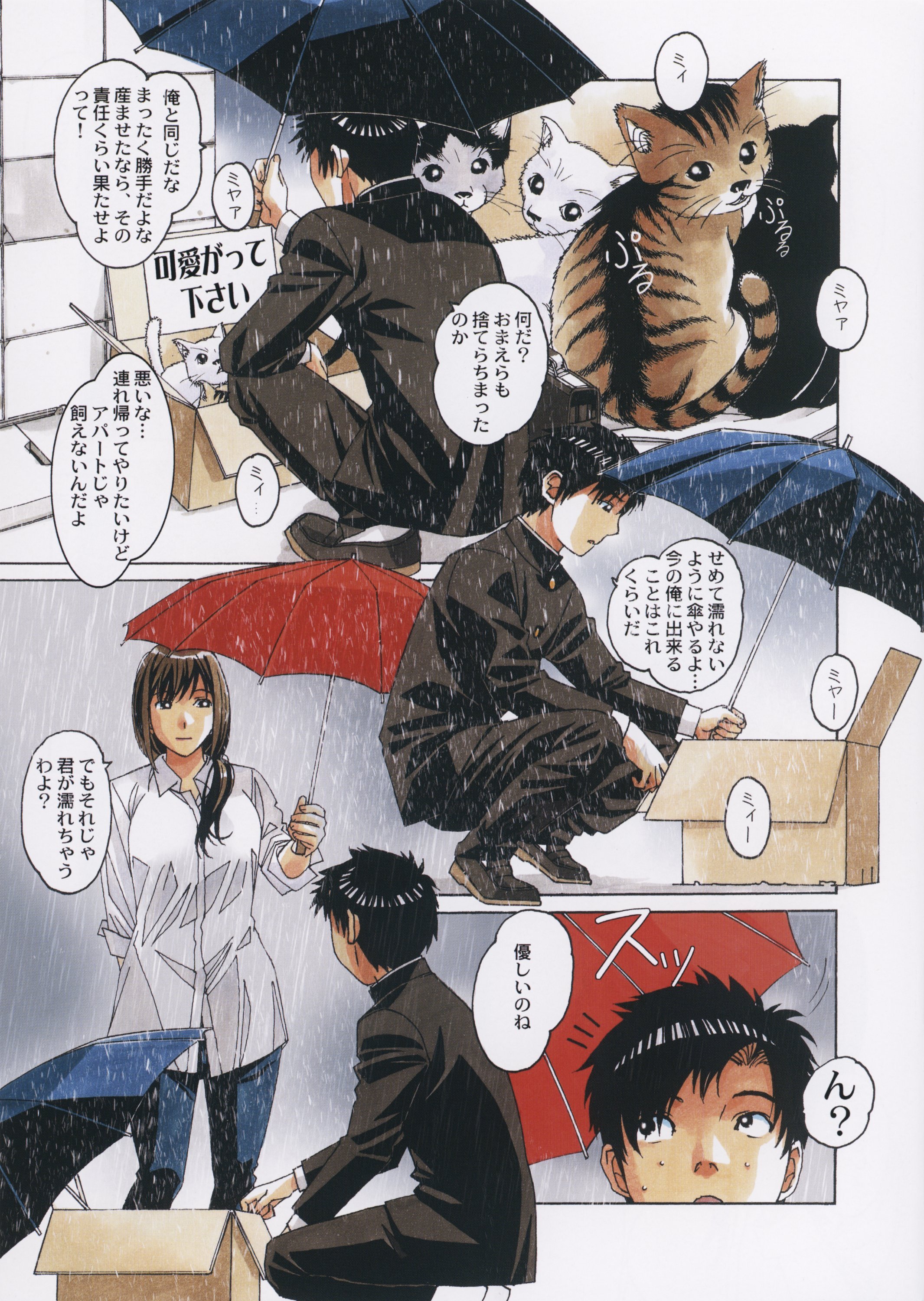 06