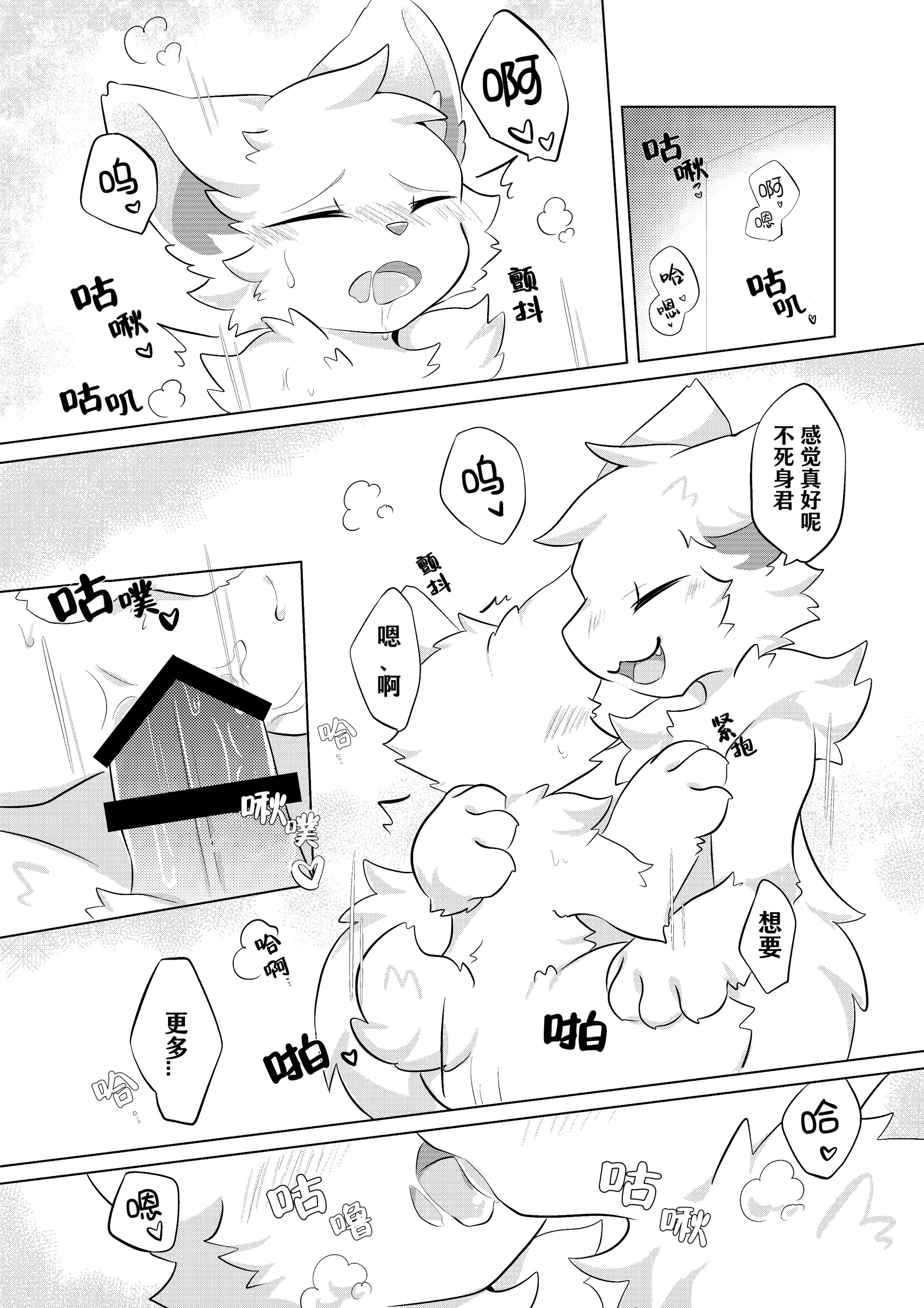 03