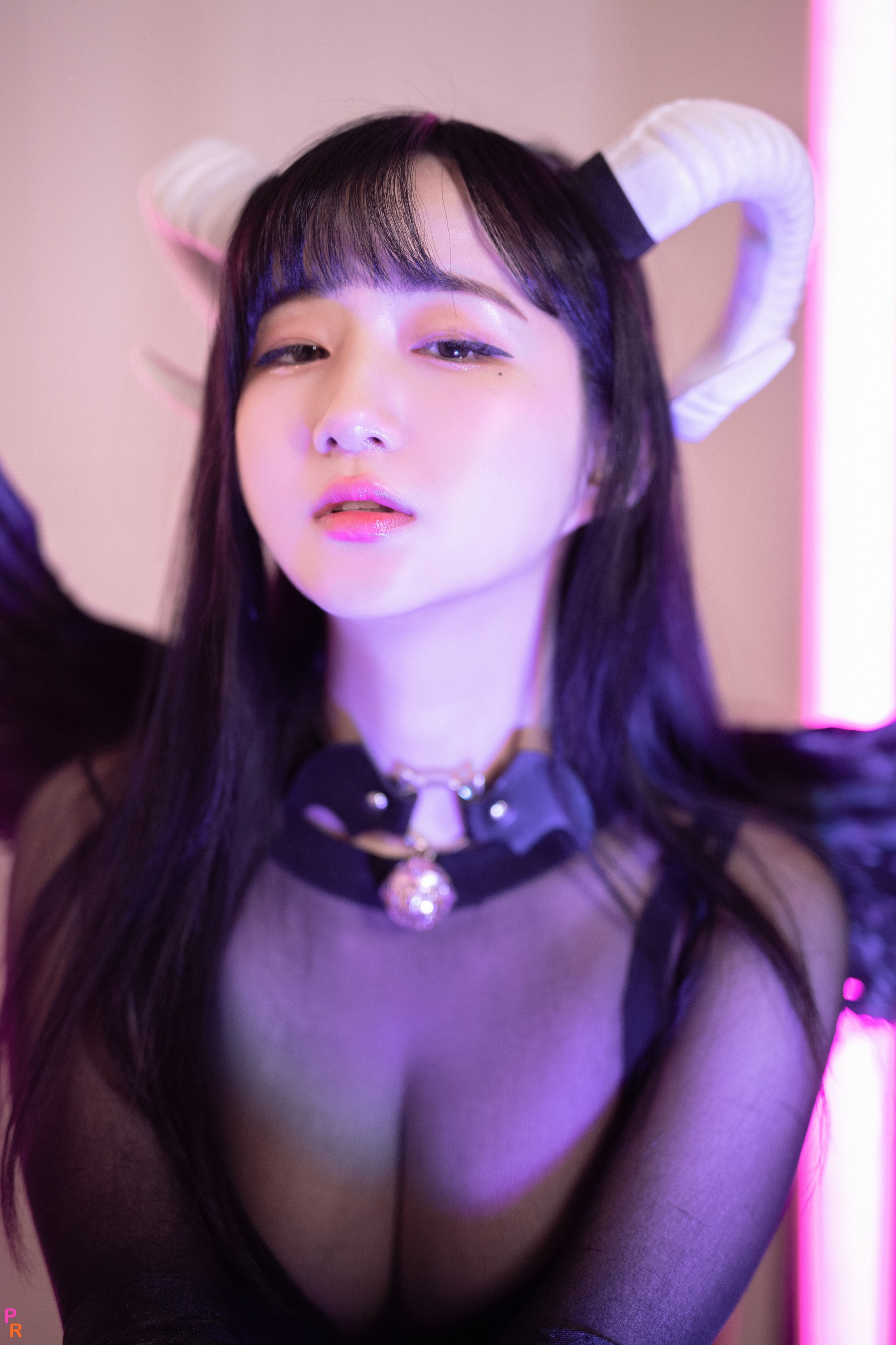 MMK8Ciol6kvwa7xr