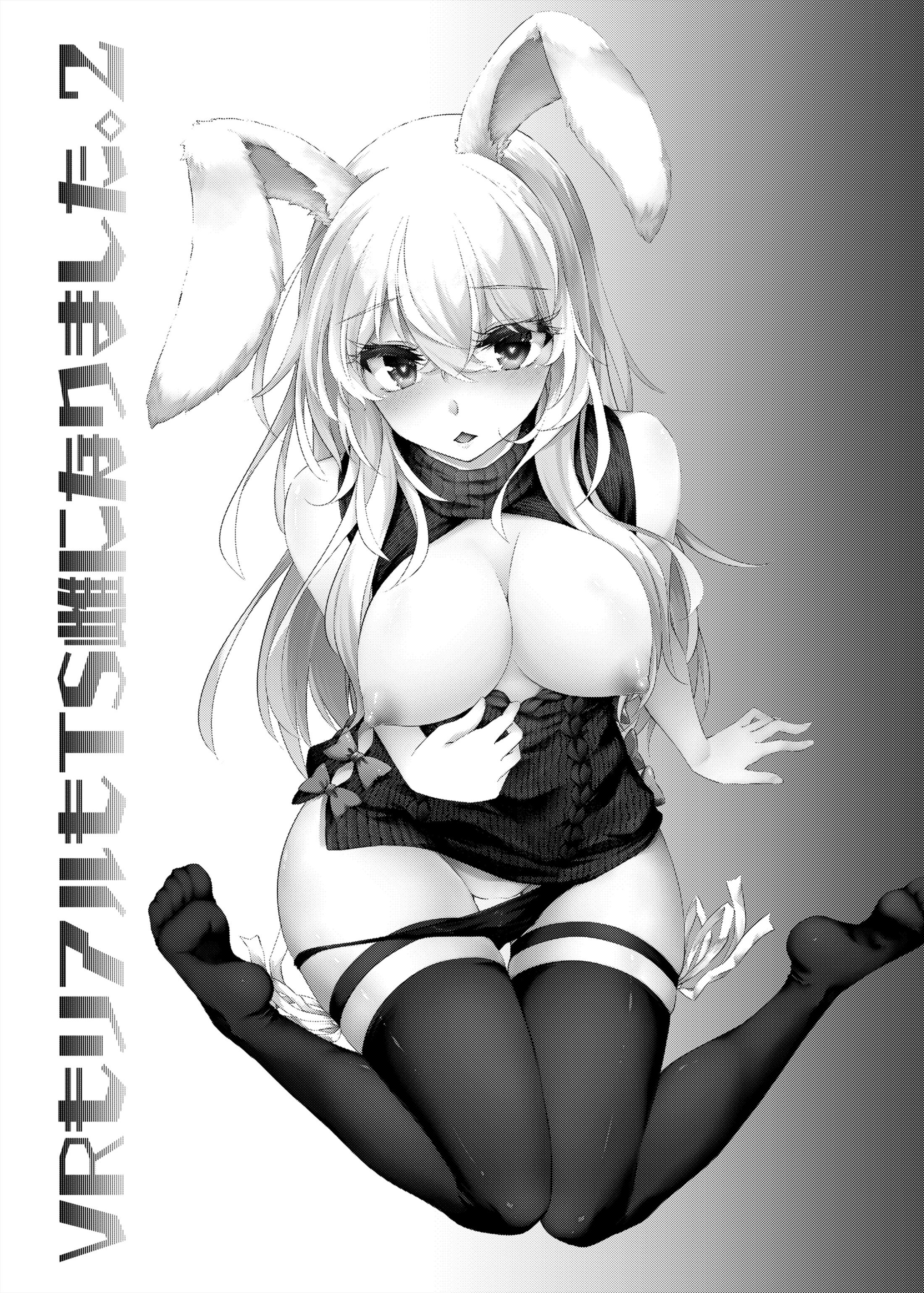 02_VRTSF2_003