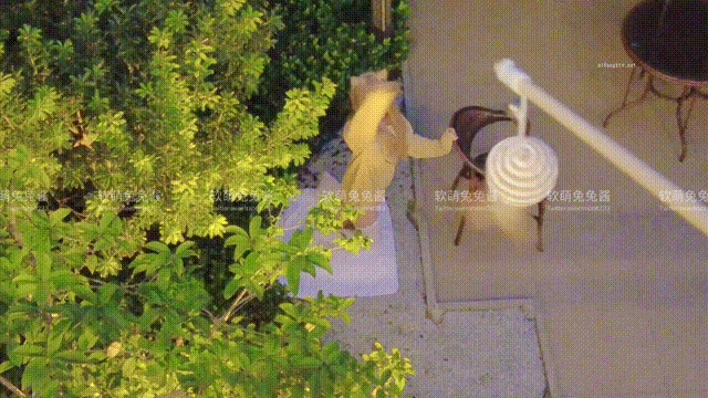 081