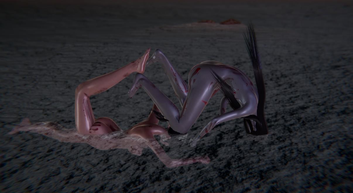 1041_13_55