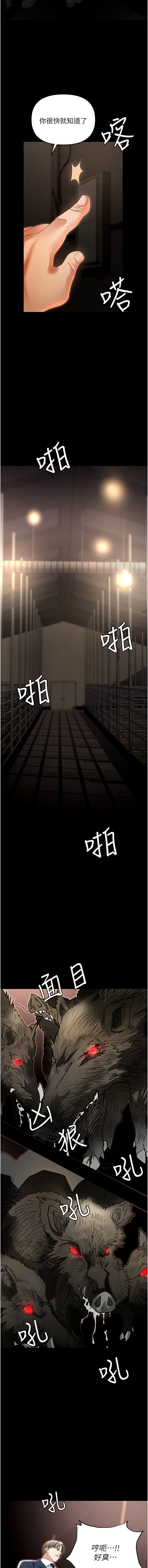 81_17